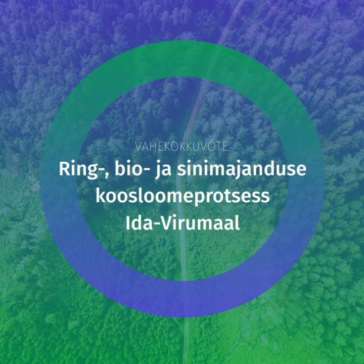 DD publishes Ida-Virumaa circular economy interim report