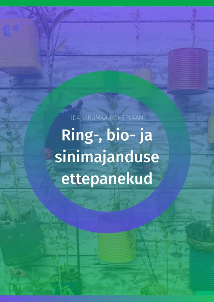 Ida-Virumaa ring-, bio- ja sinimajanduse ettepanekud